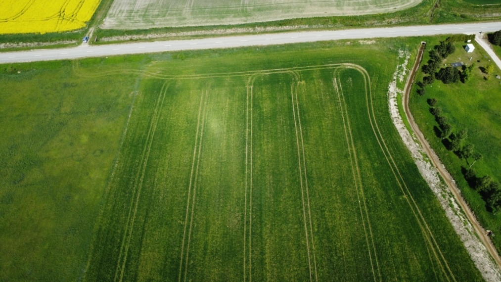 Parduodamas sklypas Tilvikų, Digrių k., Kauno r. sav., 466 a ploto 4