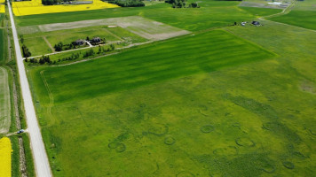 Parduodamas  sklypas Tilvikų, Digrių k., Kauno r. sav., 466 a ploto 10