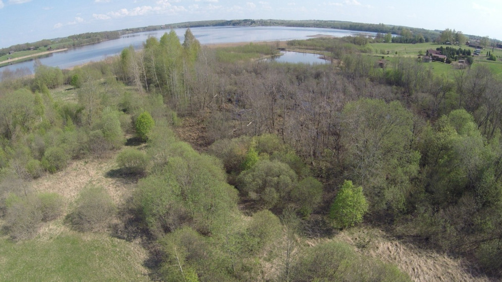 Parduodamas  sklypas Antalaušių k., Ukmergės r. sav., 160.5 a ploto 6
