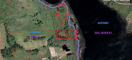 Parduodamas  sklypas Antalaušių k., Ukmergės r. sav., 160.5 a ploto 10