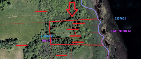 Parduodamas  sklypas Antalaušių k., Ukmergės r. sav., 160.5 a ploto 11