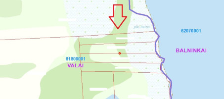 Parduodamas  sklypas Antalaušių k., Ukmergės r. sav., 160.5 a ploto 12