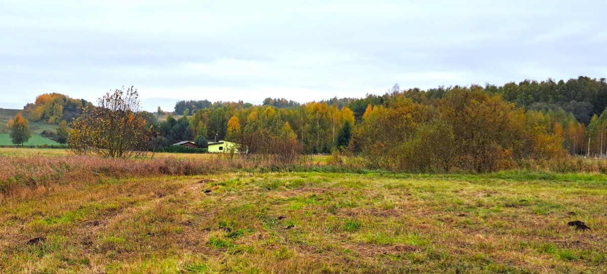 Parduodamas kitos paskirties sklypas Deltuvėlės k., Ukmergės r. sav., 25.7 a ploto 6