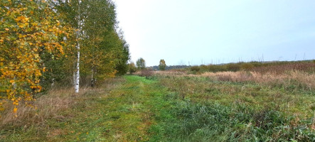 Parduodamas kitos paskirties sklypas Deltuvėlės k., Ukmergės r. sav., 25.7 a ploto 7