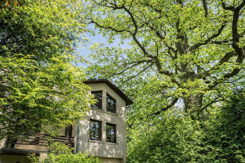 Parduodamas namas Joninių g., Žaliakalnis, Kauno m., Kauno m. sav., 304.7 m2 ploto, 2 aukštai 1