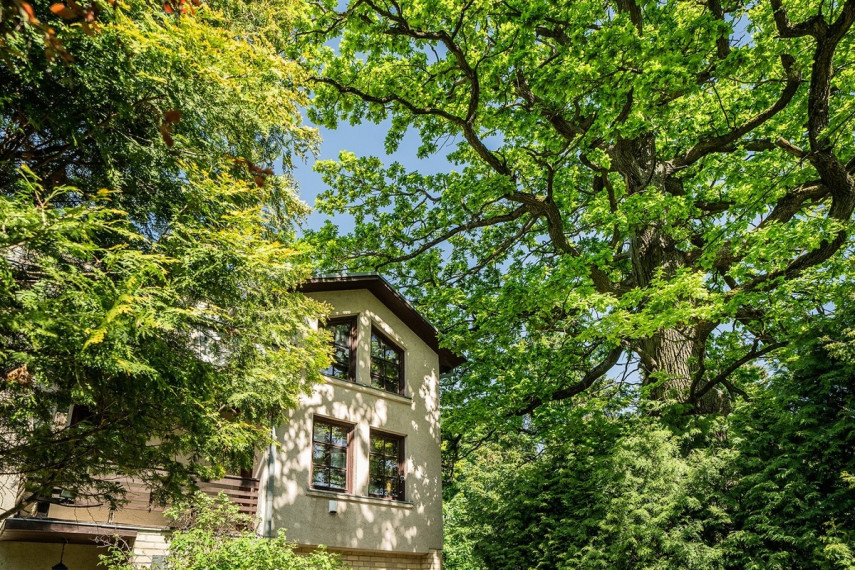 Parduodamas namas Joninių g., Žaliakalnis, Kauno m., Kauno m. sav., 304.7 m2 ploto, 2 aukštai 1