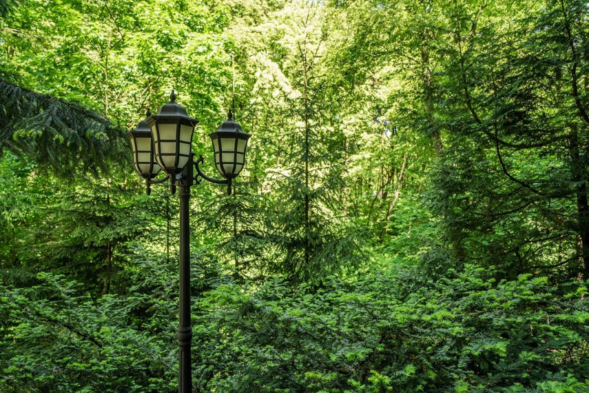 Parduodamas namas Joninių g., Žaliakalnis, Kauno m., Kauno m. sav., 304.7 m2 ploto, 2 aukštai 30