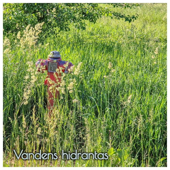 Parduodamas kitos paskirties sklypas Darbininkų g., Velželio k., Panevėžio r. sav., 20 a ploto 6