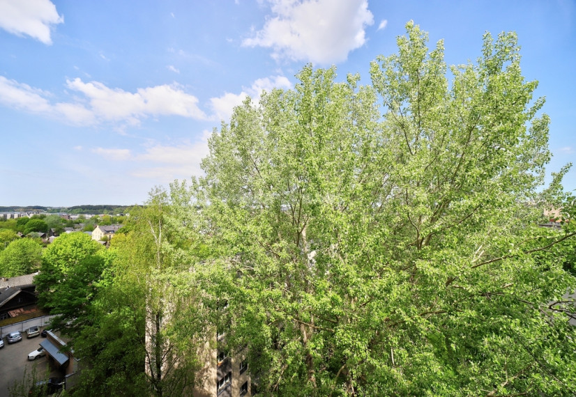 Parduodamas butas Krokuvos g., Šnipiškės, Vilniaus m., Vilniaus m. sav., 72.21 m2 ploto, 3 kambariai 26