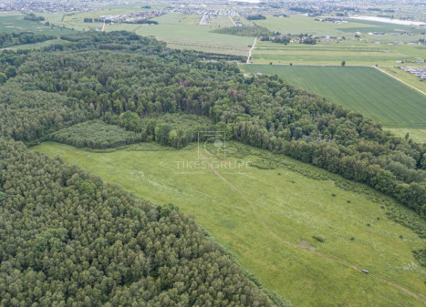 Parduodamas  sklypas Radailių k., Klaipėdos r. sav., 386 a ploto