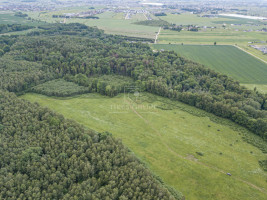 Parduodamas  sklypas Radailių k., Klaipėdos r. sav., 386 a ploto 1