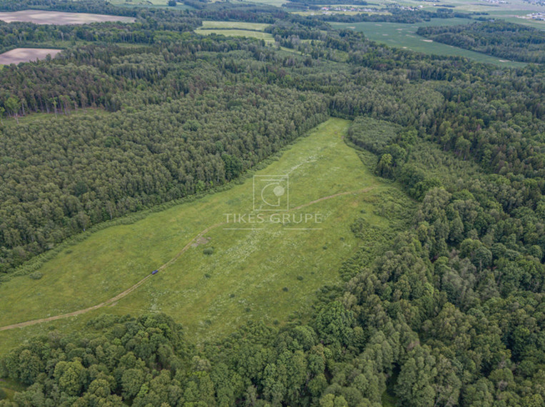 Parduodamas sklypas Radailių k., Klaipėdos r. sav., 386 a ploto 6