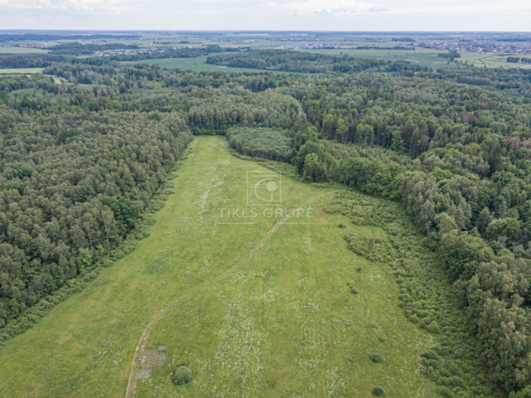 Parduodamas  sklypas Radailių k., Klaipėdos r. sav., 386 a ploto 7