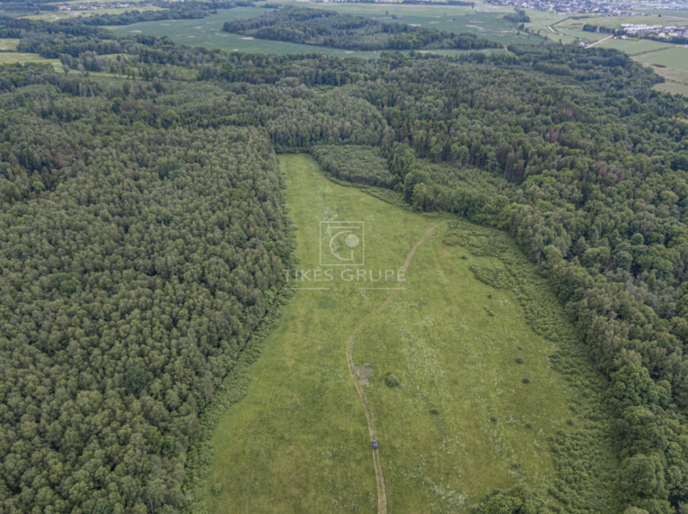 Parduodamas  sklypas Radailių k., Klaipėdos r. sav., 386 a ploto 9