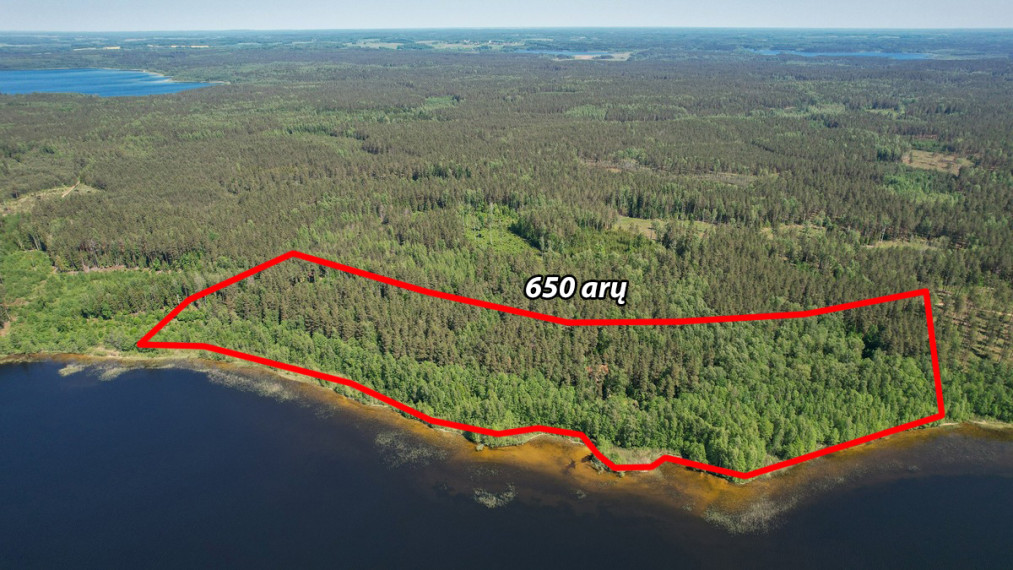 Parduodamas namas Žagarinės k., Ignalinos r. sav., 183.11 m2 ploto, 2 aukštai 5