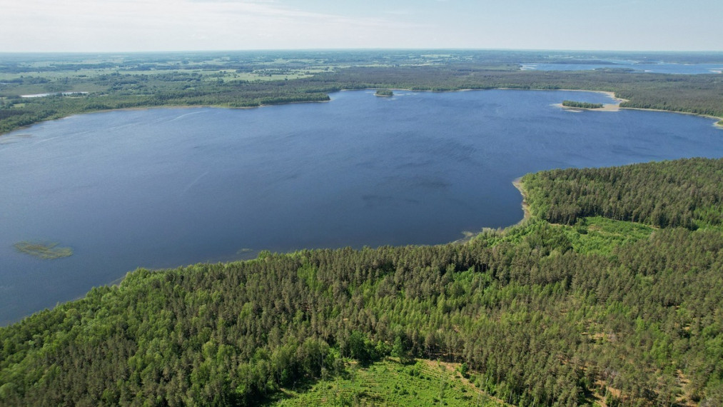 Parduodamas namas Žagarinės k., Ignalinos r. sav., 183.11 m2 ploto, 2 aukštai 6
