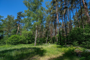 Parduodamas namas Žagarinės k., Ignalinos r. sav., 183.11 m2 ploto, 2 aukštai 26