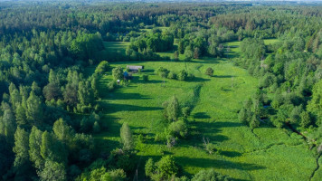 Parduodamas namas Žalionės, Ramoniškės k., Mažeikių r. sav., 50.28 m2 ploto 14