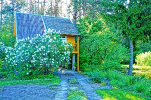 Parduodamas namas Statkuškės vs., Švenčionių r. sav., 31.21 m² ploto 1 kambarys 1