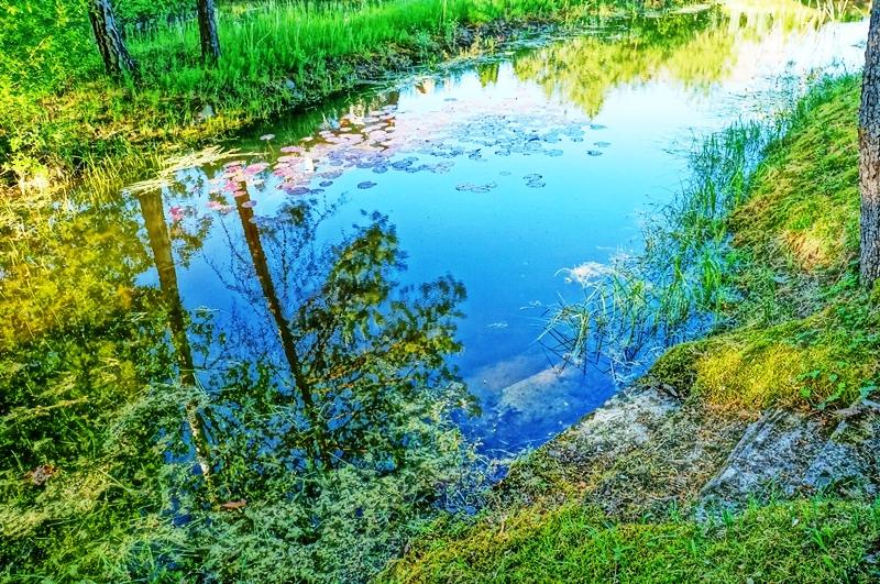 Parduodamas namas Statkuškės vs., Švenčionių r. sav., 31.21 m² ploto 1 kambarys 17