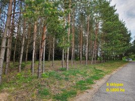 Parduodamas sklypas K. Ladygos g., Ąžuolijos, Utenos m., Utenos r. sav., 12.30 a ploto 7