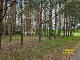 Parduodamas sklypas K. Ladygos g., Ąžuolijos, Utenos m., Utenos r. sav., 12.30 a ploto 8