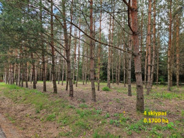 Parduodamas sklypas K. Ladygos g., Ąžuolijos, Utenos m., Utenos r. sav., 12.30 a ploto 9