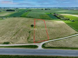 Parduodamas komercinės paskirties sklypas Kauno g., Miklusėnų k., Alytaus r. sav., 95.8 a ploto 3