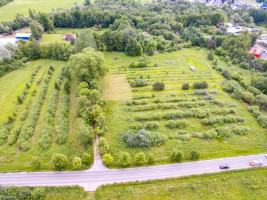 Parduodamas  sklypas Koldingo g., Rožės, Panevėžio m., Panevėžio m. sav., 9.26 a ploto 5