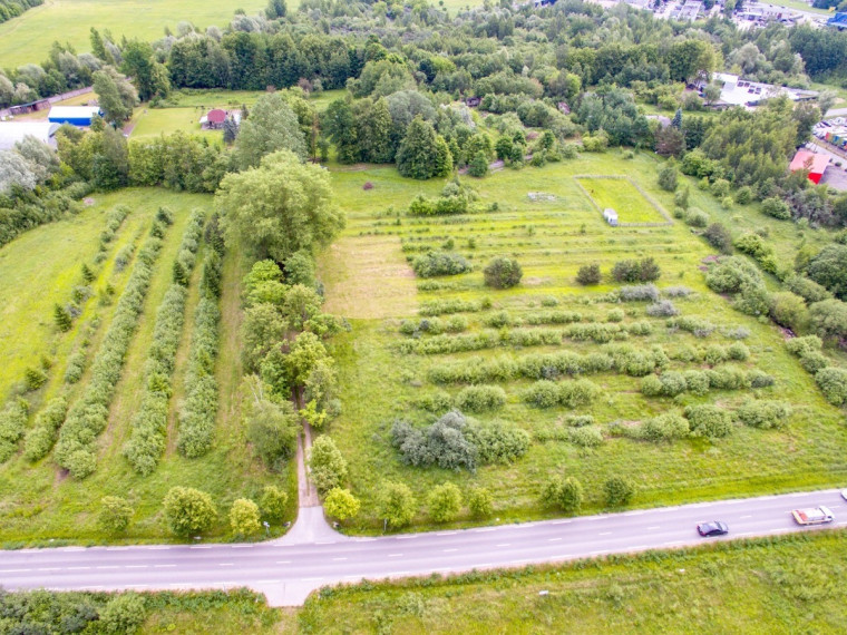 Parduodamas sklypas Koldingo g., Rožės, Panevėžio m., Panevėžio m. sav., 9.26 a ploto 5