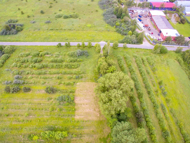 Parduodamas sklypas Koldingo g., Rožės, Panevėžio m., Panevėžio m. sav., 9.26 a ploto 4