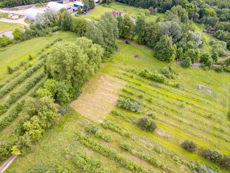 Parduodamas sklypas Koldingo g., Rožės, Panevėžio m., Panevėžio m. sav., 9.26 a ploto 6
