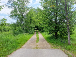 Parduodamas  sklypas Koldingo g., Rožės, Panevėžio m., Panevėžio m. sav., 9.26 a ploto 9