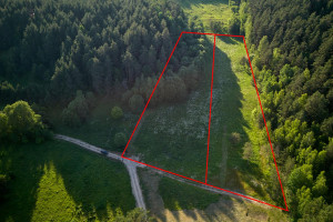 Parduodamas sklypas Balčiūnų k., Trakų r. sav., 137.00 a ploto 3