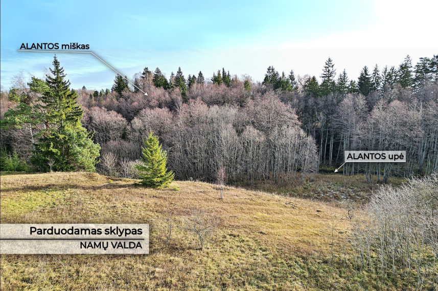 Parduodamas kitos paskirties sklypas Molėtų g., Antaliežių k., Molėtų r. sav., 110.41 a ploto 3