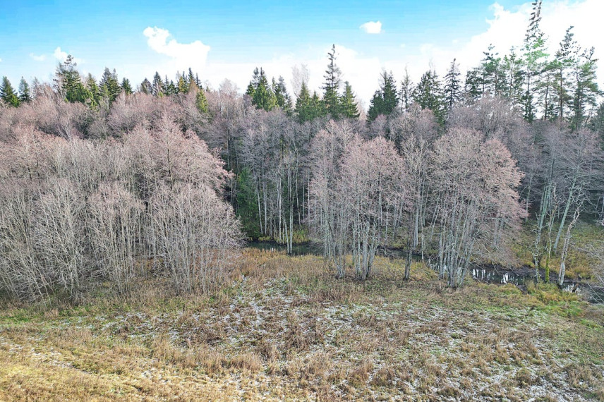 Parduodamas kitos paskirties sklypas Molėtų g., Antaliežių k., Molėtų r. sav., 110.41 a ploto 2