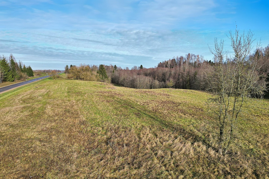 Parduodamas kitos paskirties sklypas Molėtų g., Antaliežių k., Molėtų r. sav., 110.41 a ploto 4