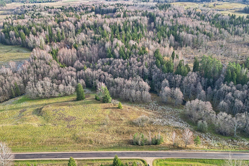 Parduodamas kitos paskirties sklypas Molėtų g., Antaliežių k., Molėtų r. sav., 110.41 a ploto 5