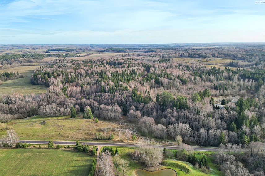 Parduodamas kitos paskirties sklypas Molėtų g., Antaliežių k., Molėtų r. sav., 110.41 a ploto 6