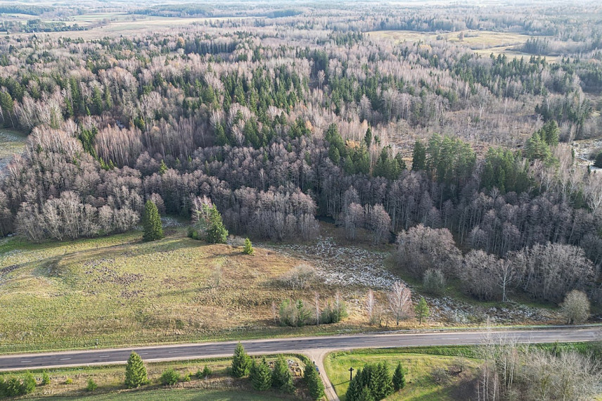 Parduodamas kitos paskirties sklypas Molėtų g., Antaliežių k., Molėtų r. sav., 110.41 a ploto 10
