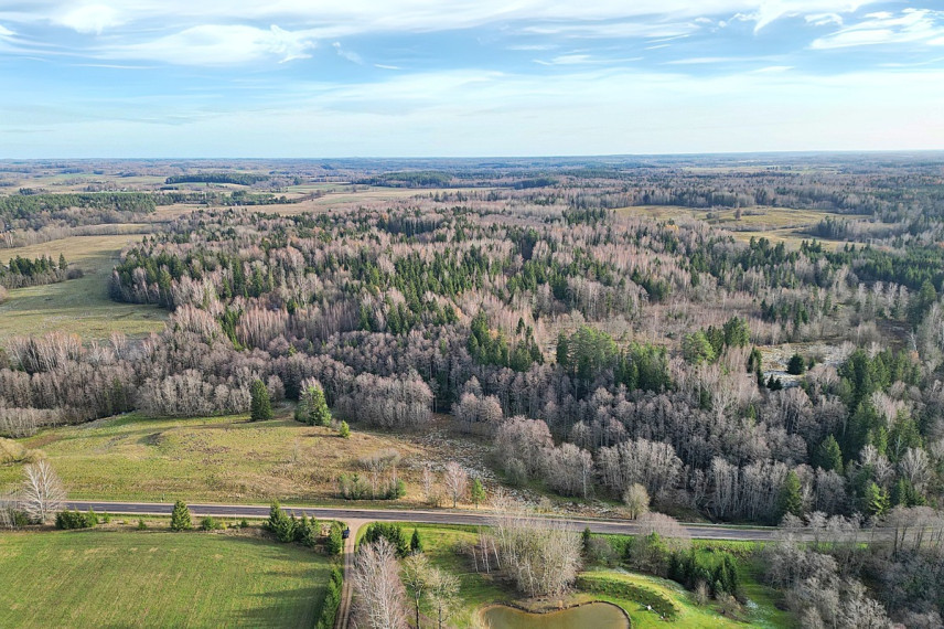 Parduodamas kitos paskirties sklypas Molėtų g., Antaliežių k., Molėtų r. sav., 110.41 a ploto 11