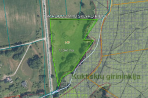 Parduodamas kitos paskirties sklypas Molėtų g., Antaliežių k., Molėtų r. sav., 110.41 a ploto 18