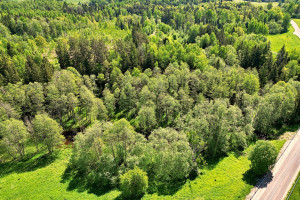 Parduodamas kitos paskirties sklypas Molėtų g., Antaliežių k., Molėtų r. sav., 110.41 a ploto 4