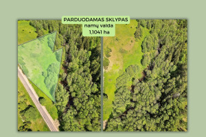 Parduodamas kitos paskirties sklypas Molėtų g., Antaliežių k., Molėtų r. sav., 110.41 a ploto 6