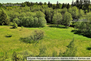 Parduodamas kitos paskirties sklypas Molėtų g., Antaliežių k., Molėtų r. sav., 110.41 a ploto 11