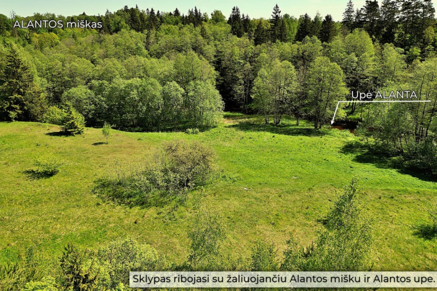 Parduodamas kitos paskirties sklypas Molėtų g., Antaliežių k., Molėtų r. sav., 110.41 a ploto 3