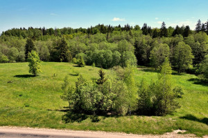 Parduodamas kitos paskirties sklypas Molėtų g., Antaliežių k., Molėtų r. sav., 110.41 a ploto 12