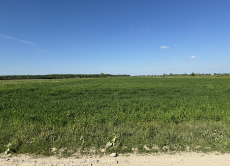 Parduodamas sklypas Šapnagių k., 111.68 a ploto