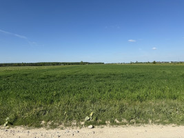 Parduodamas sklypas Šapnagių k., 111.68 a ploto 1