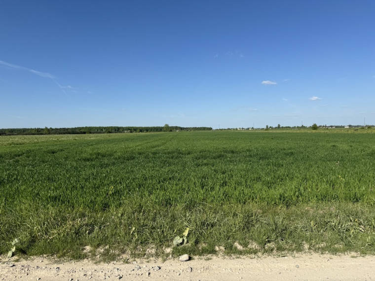 Parduodamas sklypas Šapnagių k., 111.68 a ploto 1